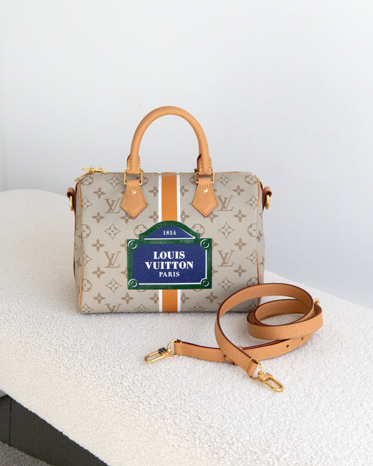 LOUIS VUITTON Speedy Monopaname 25